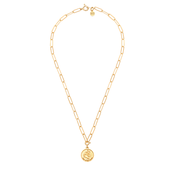 Chain necklace with an ox coin