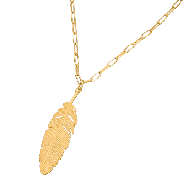Long chain necklace with feather